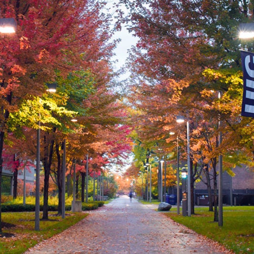 changing leaves on campus