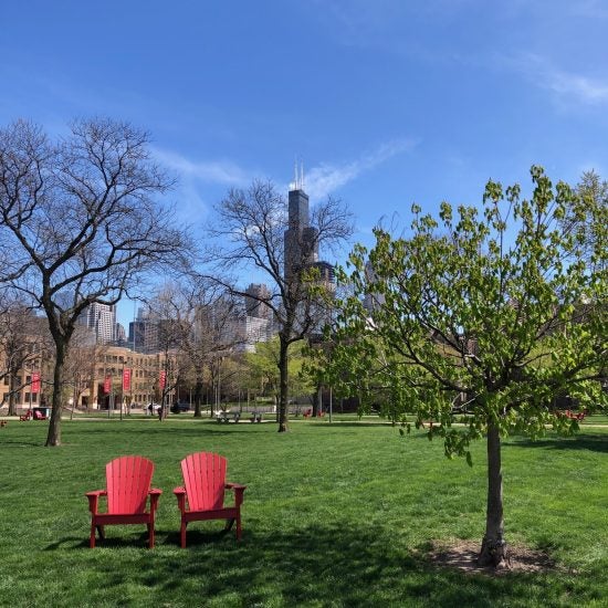 Two bright red lawn chairs next to each other on the green lawn of UIC's campus. They sit in between a few trees, one with green leaves. The sky is blue and there are a few wispy clouds.