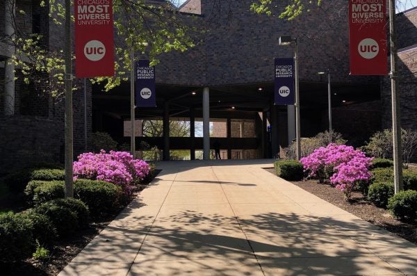 The exterior of the Science and Engineering South building during the spring. There are UIC flags on lampposts, shrubs with pink flowers, trees, and a blue sky.