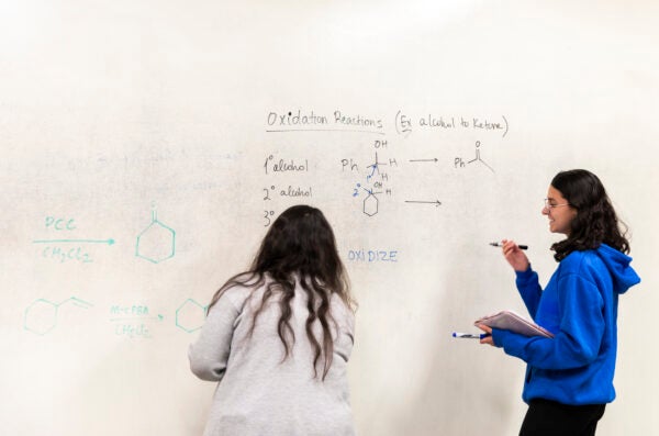 Peer Leaders studying chemistry while drawing dry erase wall