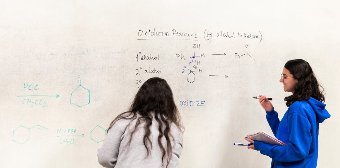 students studying chemistry together writing on dry-erase walls